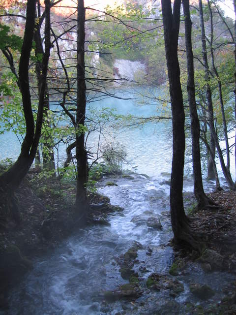 IMG_0110.JPG