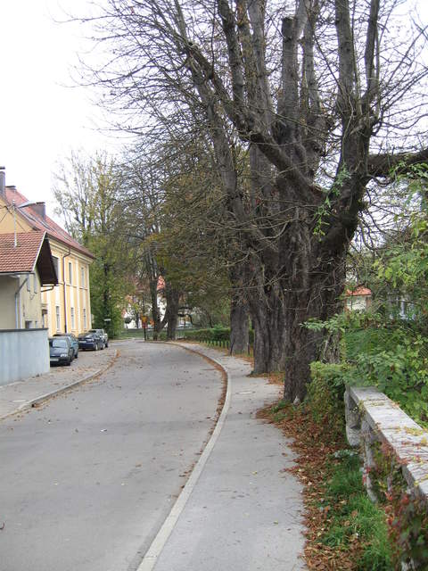 IMG_0173.JPG