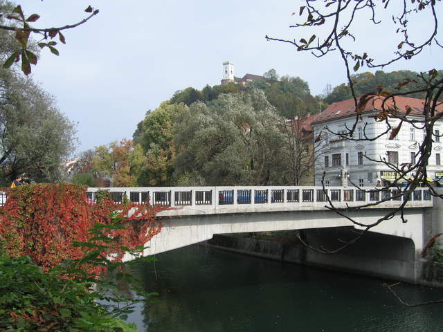IMG_0174.JPG