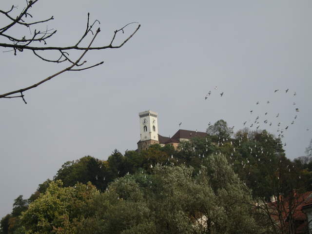 IMG_0175.JPG