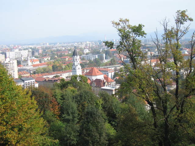 IMG_0185.JPG
