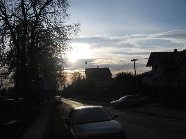 IMG_0235.JPG
