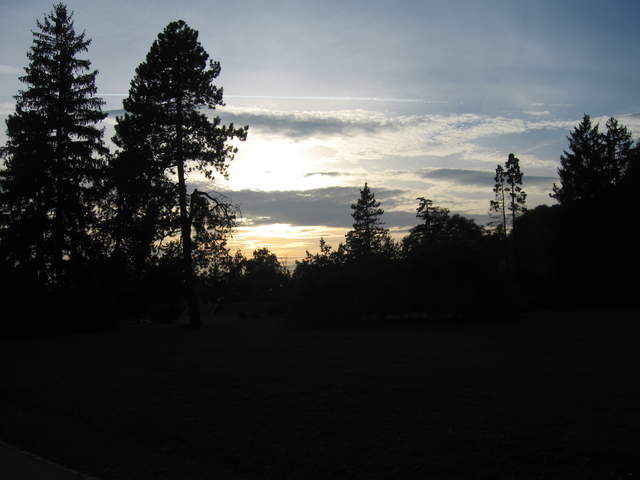 IMG_0239.JPG