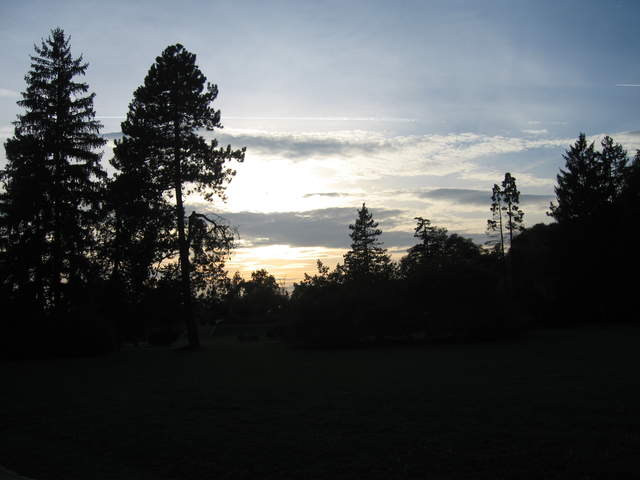 IMG_0240.JPG