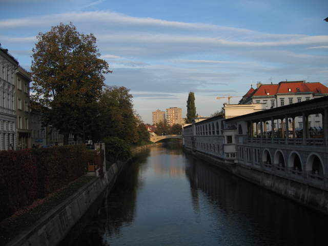 IMG_0243.JPG