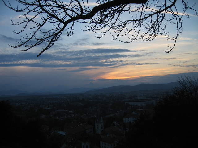 IMG_0254.JPG