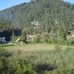 IMG_0141.JPG