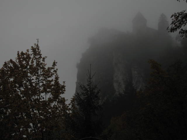 IMG_0272.JPG