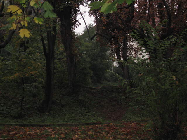 IMG_0273.JPG