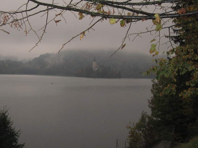 IMG_0274.JPG