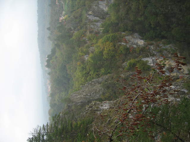 IMG_0316.JPG