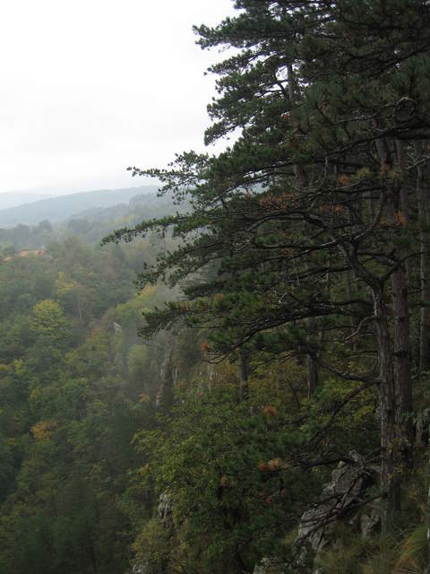 IMG_0317.JPG