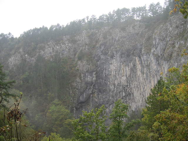 IMG_0320.JPG