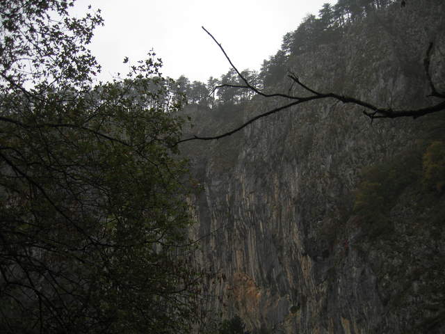 IMG_0321.JPG