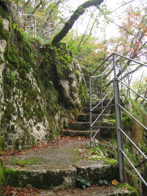 IMG_0324.JPG