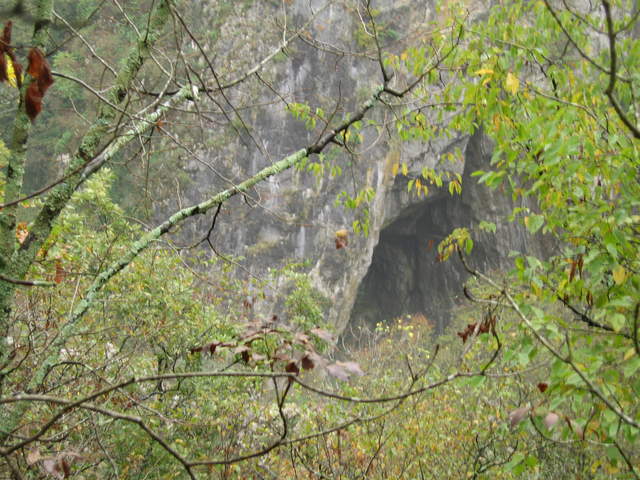 IMG_0328.JPG