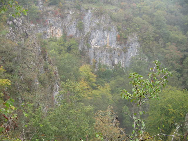 IMG_0329.JPG