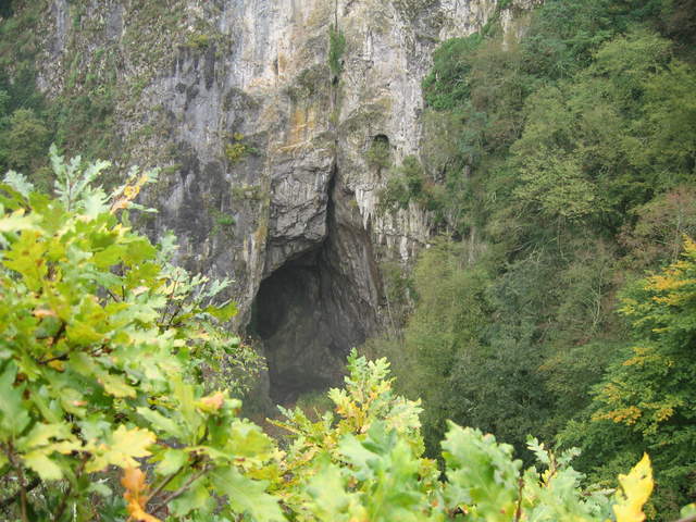IMG_0330.JPG