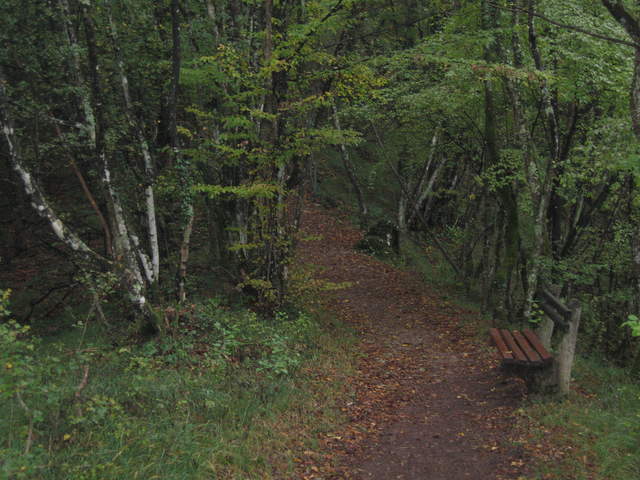 IMG_0335.JPG