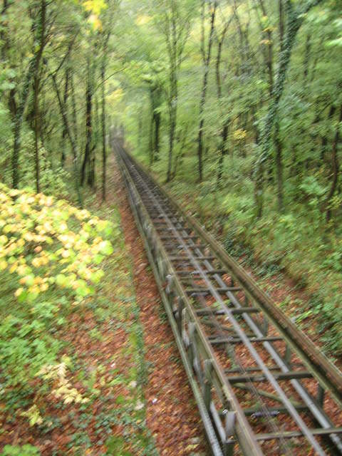 IMG_0337.JPG