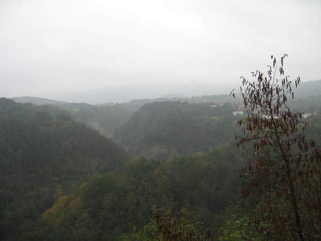 IMG_0303.JPG