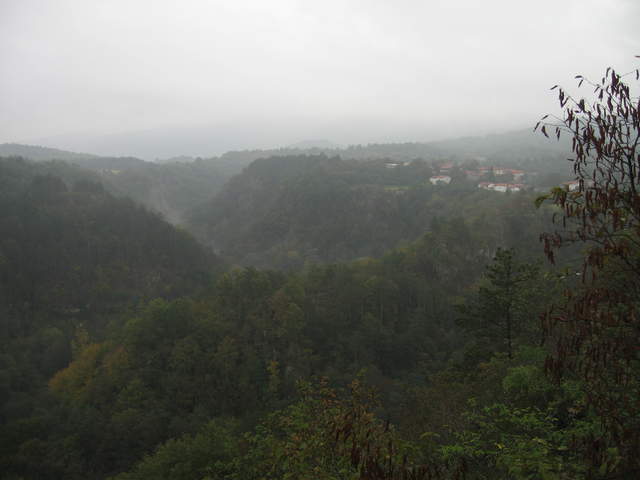 IMG_0305.JPG
