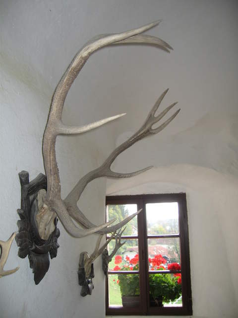IMG_0358.JPG