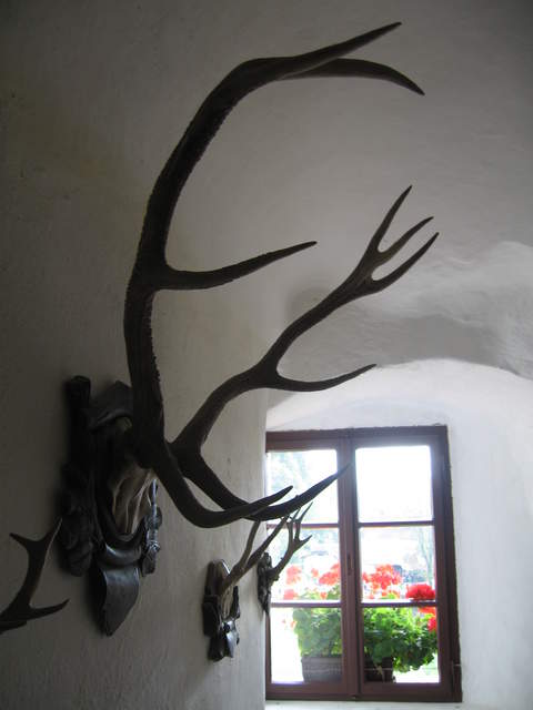IMG_0359.JPG