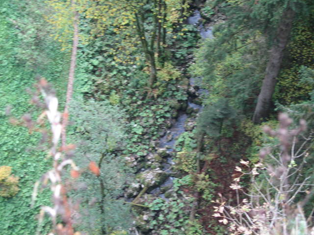 IMG_0376.JPG