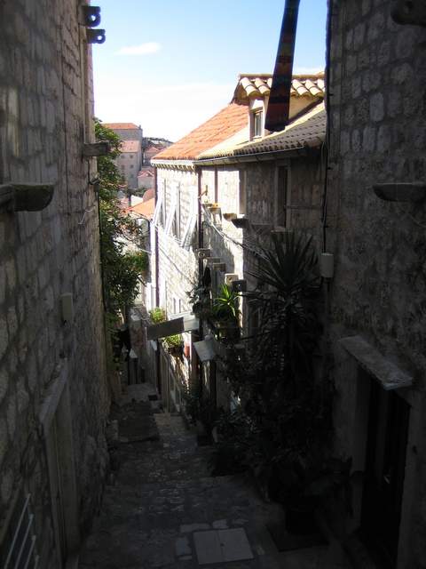 IMG_3021.JPG