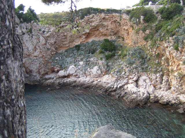 IMG_3073.JPG