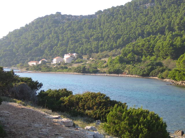 IMG_3147.JPG