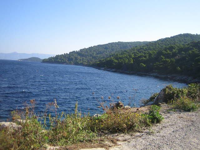 IMG_3104.JPG