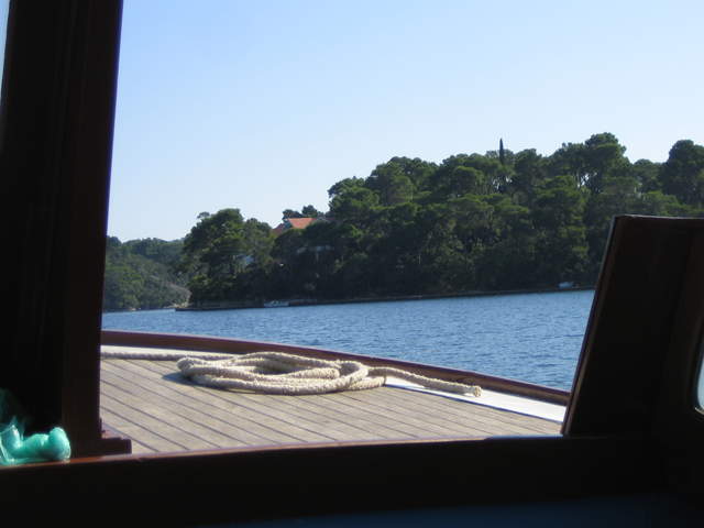 IMG_3113.JPG