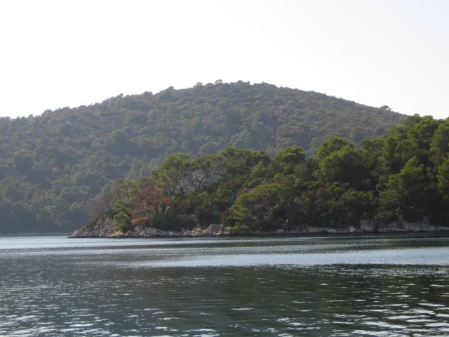 IMG_3116.JPG