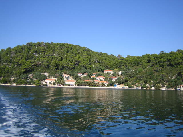 IMG_3117.JPG