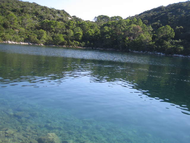 IMG_3125.JPG