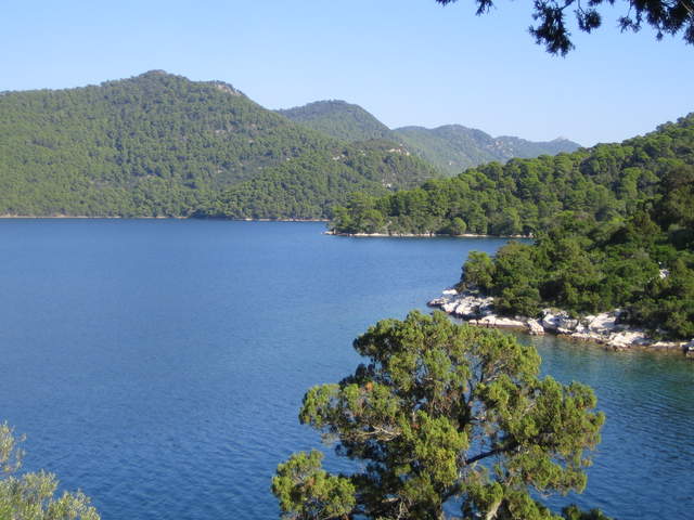 IMG_3126.JPG