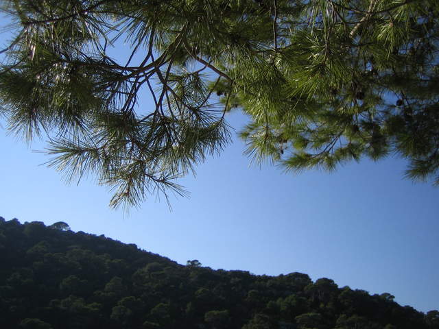 IMG_3132.JPG