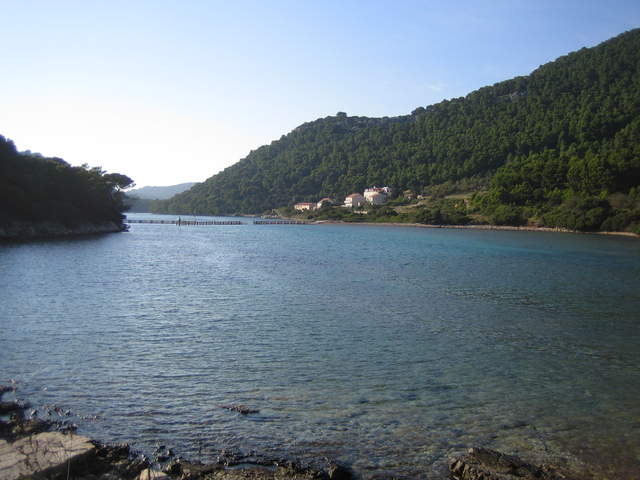 IMG_3136.JPG