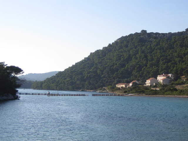 IMG_3138.JPG