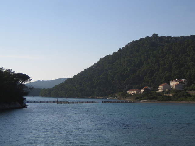 IMG_3139.JPG