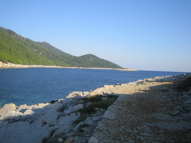 IMG_3142.JPG