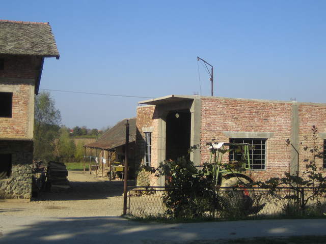 IMG_3259.JPG