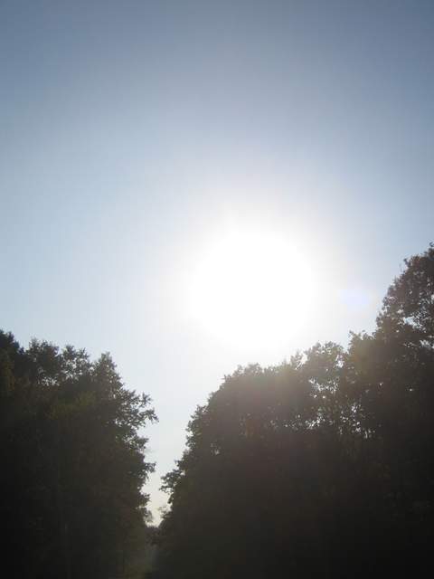 IMG_3275.JPG