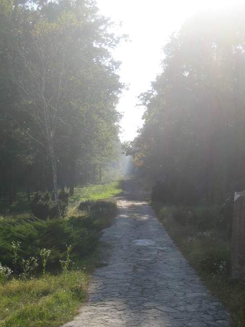 IMG_3277.JPG