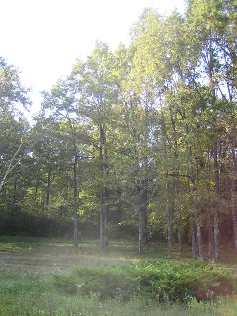 IMG_3281.JPG