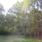 IMG_3281.JPG
