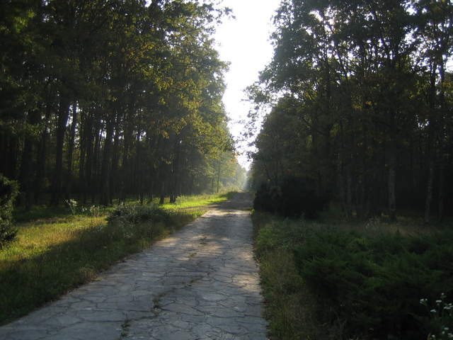 IMG_3290.JPG