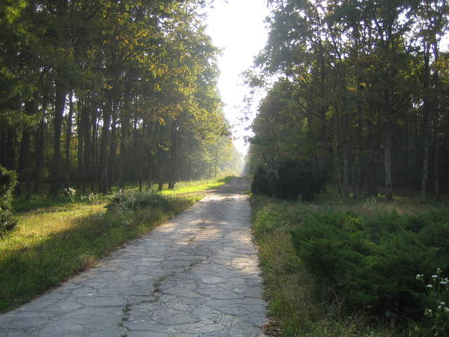 IMG_3291.JPG